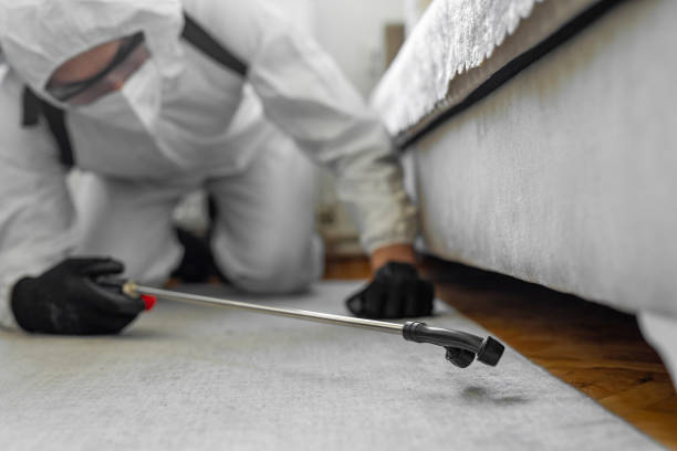 Professional Termite Control technician working in Cassville, WV