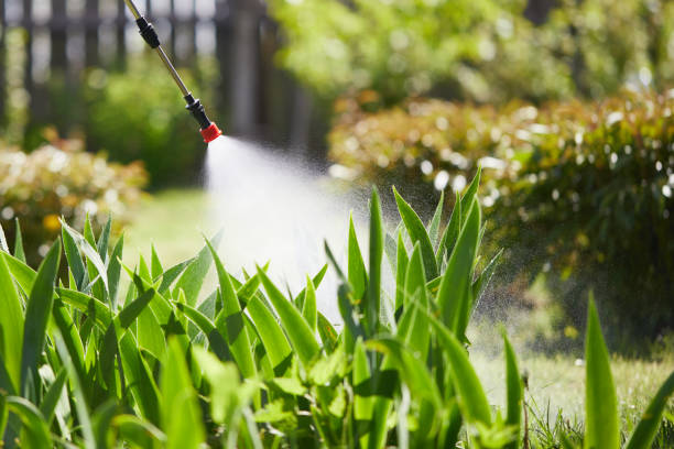 24/7 Emergency Termite Control experts in Cassville, WV