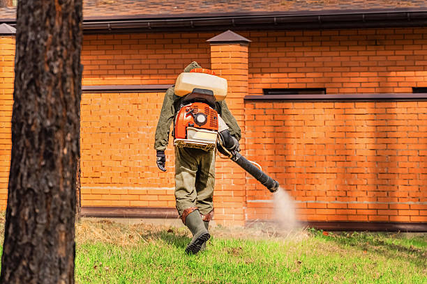 Trusted Ant Control service in Cassville, WV - Nex Pest Control